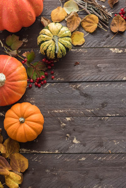 Halloween and autumn stock photo - Styled Stock - Free styled stock ...