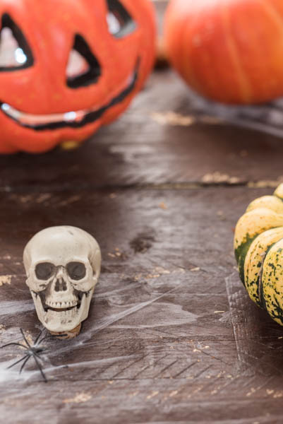 Halloween and autumn stock photo